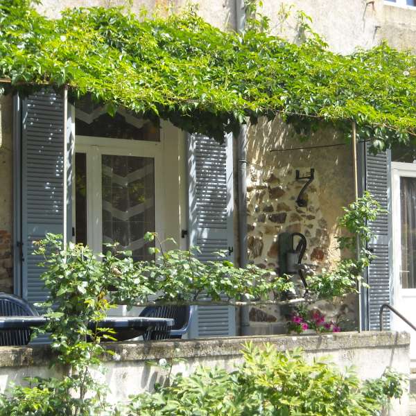 calliope-gris-en-situation-1